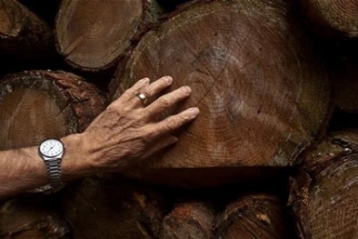 Nghi lễ 'giải hạn' thực sự có hiệu quả?